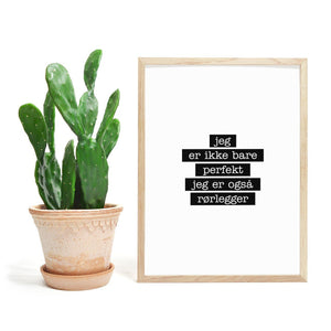 Rørlegger - Jeg er ikke bare perfekt Plakat - Plakatbar.no