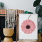 Rosa Gerbera II - Plakatbar.no