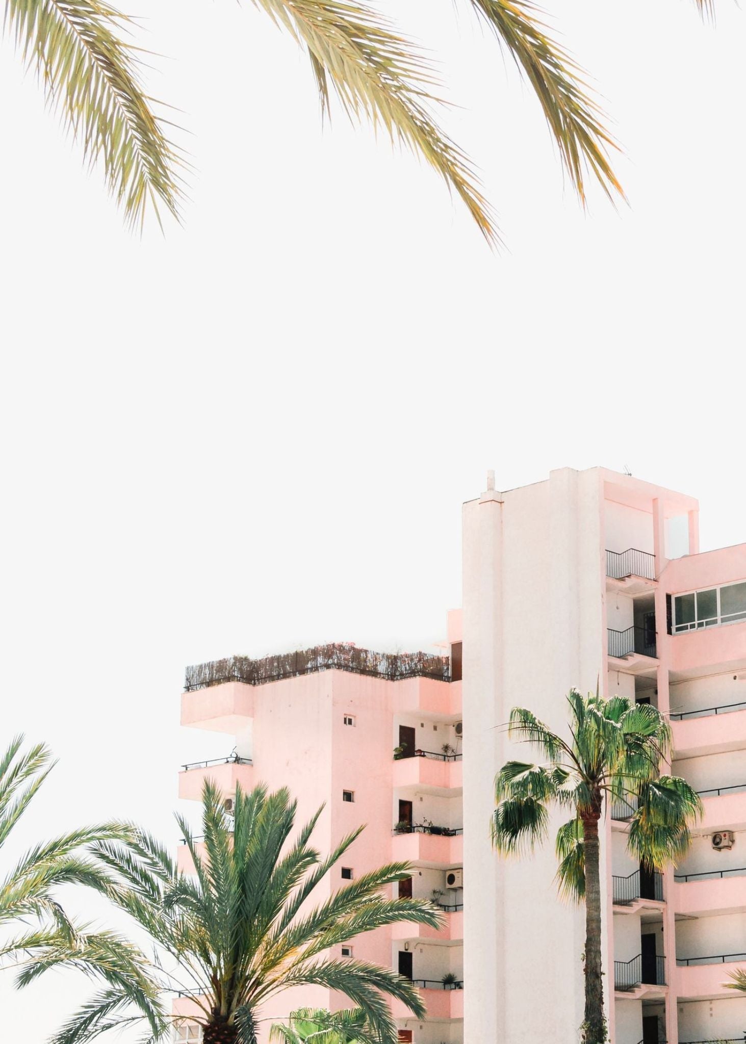 Rosa hotell - Plakatbar.no