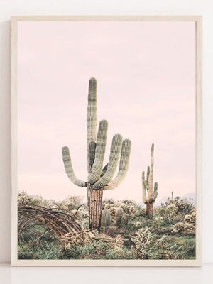 Rosa Saguaro - Plakatbar.no