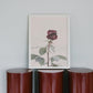 Rose - Plakatbar.no