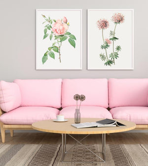 Rose poster - Plakatbar.no