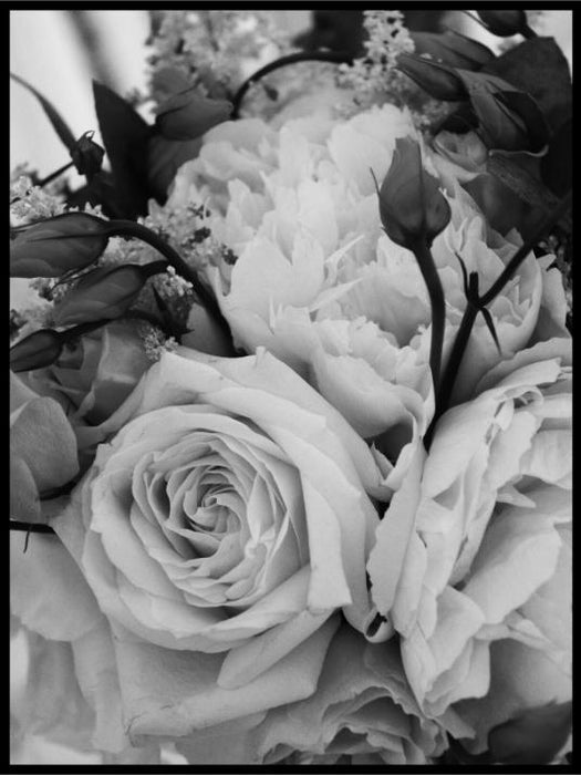 Roses black and white poster - Plakatbar.no