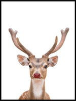 Rudolph - juleplakat 02 - Plakatbar.no