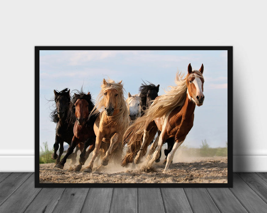 Running horses poster - Plakatbar.no