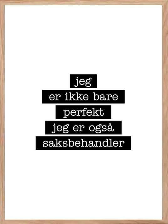 Saksbehandler - Jeg er ikke bare perfekt Plakat - Plakatbar.no