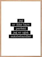Saksbehandler - Jeg er ikke bare perfekt Plakat - Plakatbar.no