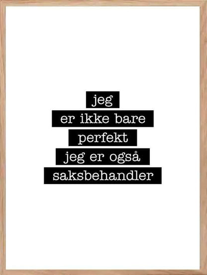 Saksbehandler - Jeg er ikke bare perfekt Plakat - Plakatbar.no