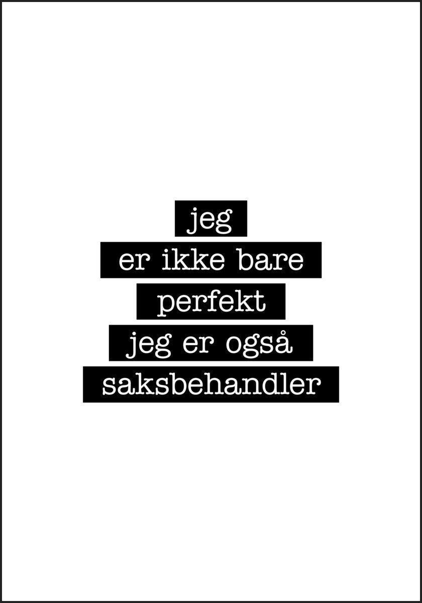 Saksbehandler - Jeg er ikke bare perfekt Plakat - Plakatbar.no
