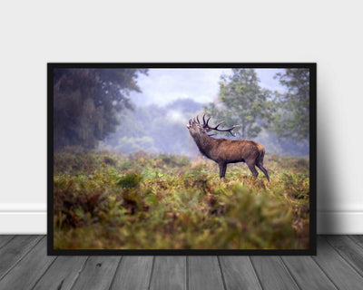 Scream in the rain poster - Plakatbar.no