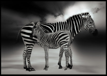 Sebra mor og datter poster - Plakatbar.no