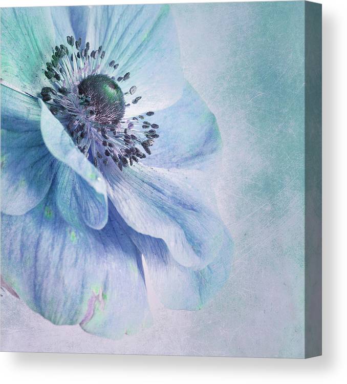 Shades of blue - Plakatbar.no