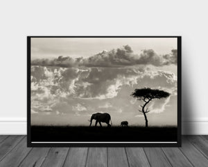 Silhouettes of Mara poster - Plakatbar.no