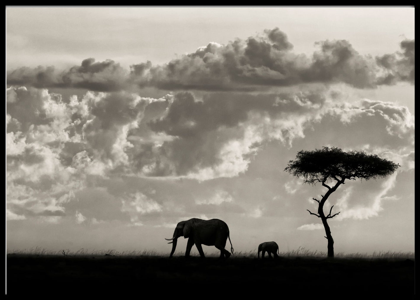 Silhouettes of Mara poster - Plakatbar.no