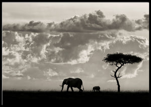 Silhouettes of Mara poster - Plakatbar.no