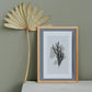 Skandinavisk kunst - grey coral 01 - Plakatbar.no