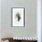 Skandinavisk kunst - grey coral 01 - Plakatbar.no