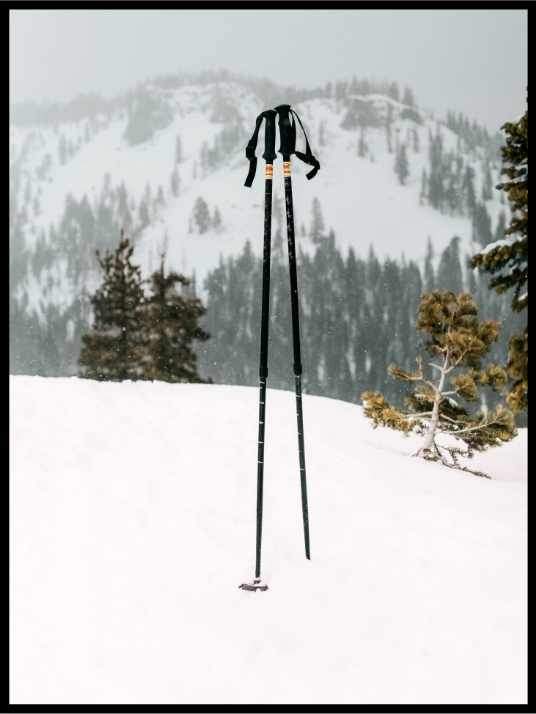 Ski poles in the snow - Winter poster