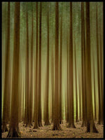 Skog poster - Plakatbar.no