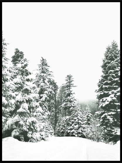 Skogsplakat - vintermotiv - Plakatbar.no