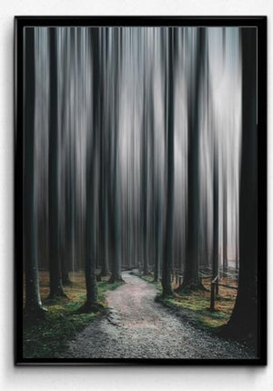Skogsvei poster - Plakatbar.no