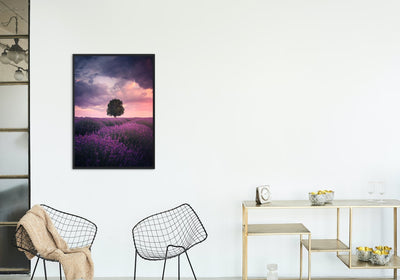 Lavender Fields, Isparta