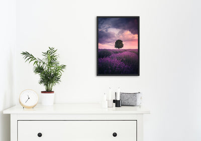 Lavender Fields, Isparta