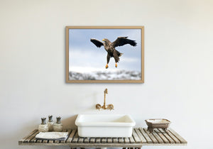 In for landing - Poster