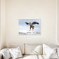 Klar til landing – Plakat