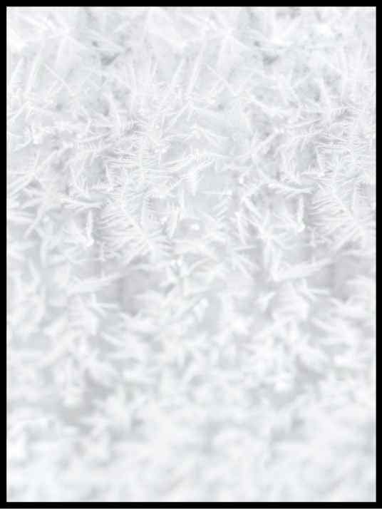 Snøkrystaller - plakat - Plakatbar.no