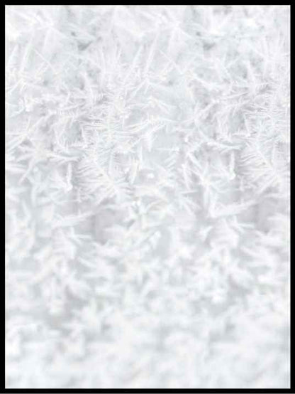 Snøkrystaller - plakat - Plakatbar.no
