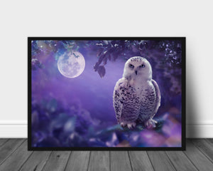 Snøugle poster - Plakatbar.no