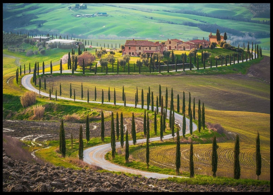 Summer in Tuscany - Poster