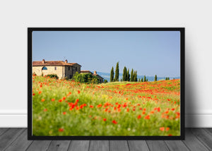 Sommerblomster i Toscana - Poster - Plakatbar.no