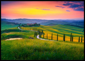 Sommerfarger i Toscana - Poster - Plakatbar.no