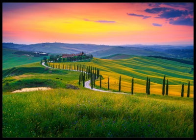 Sommerfarger i Toscana - Poster - Plakatbar.no