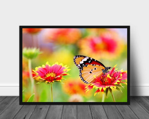 Sommerfugl på fargerike blomster poster - Plakatbar.no