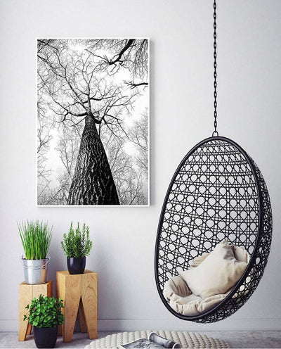 Sort og hvitt - trær og hjort - 3 motiver - Plakatbar.no