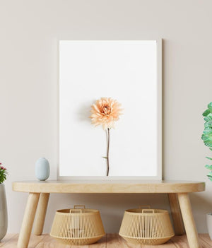 Søt blomst med hvit bakgrunn poster - Plakatbar.no