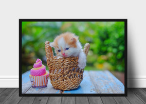 Søt kattunge i kurv- plakat - Plakatbar.no