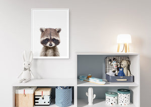 Søt vaskebjørn - Plakat til barnerommet - Plakatbar.no