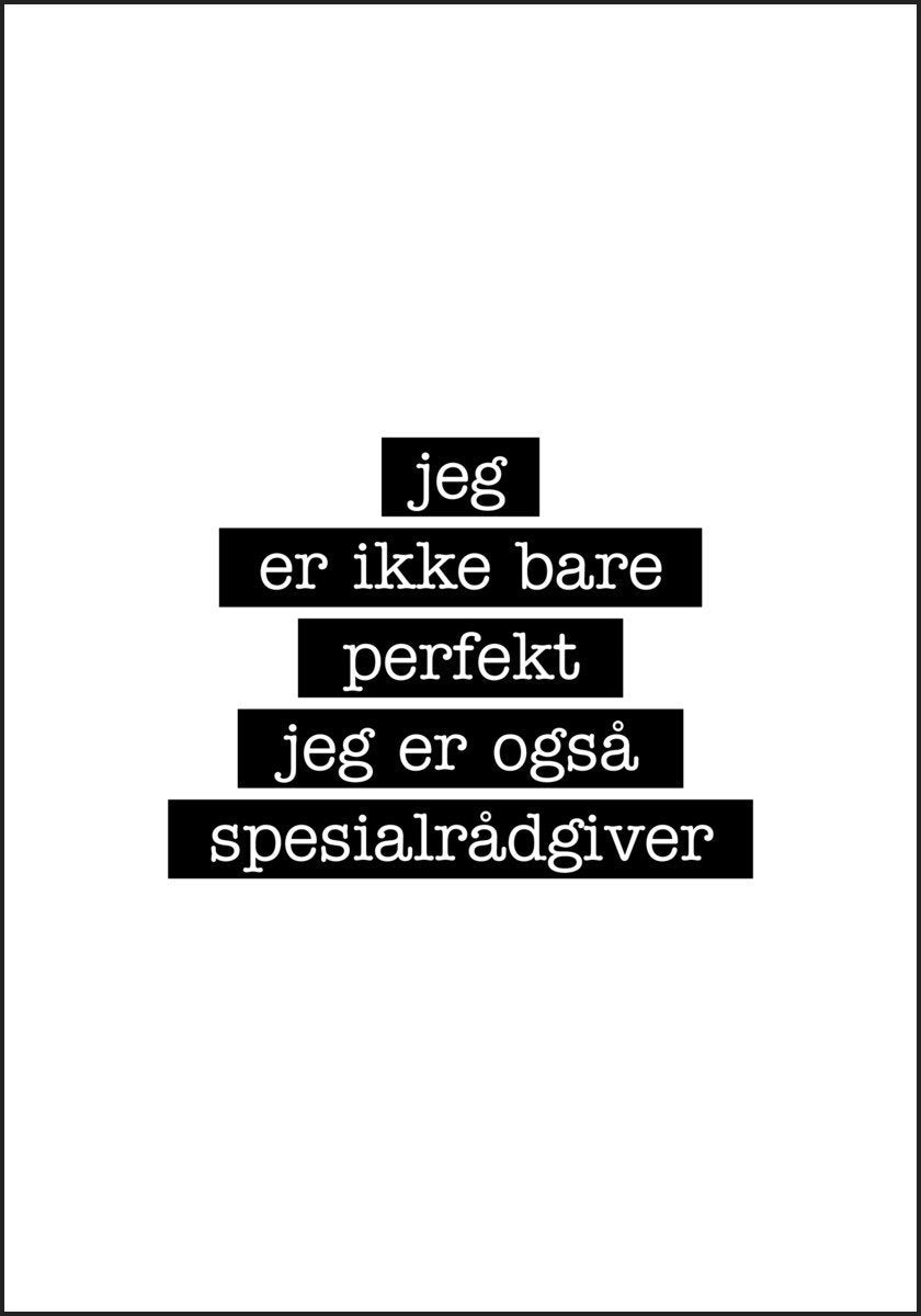Spesialrådgiver - Jeg er ikke bare perfekt Plakat - Plakatbar.no