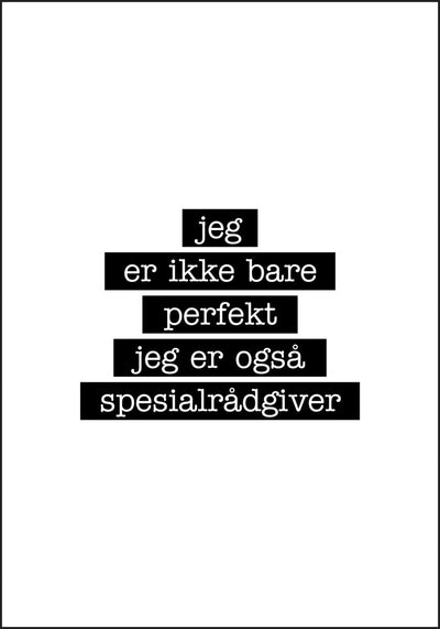 Spesialrådgiver - Jeg er ikke bare perfekt Plakat - Plakatbar.no