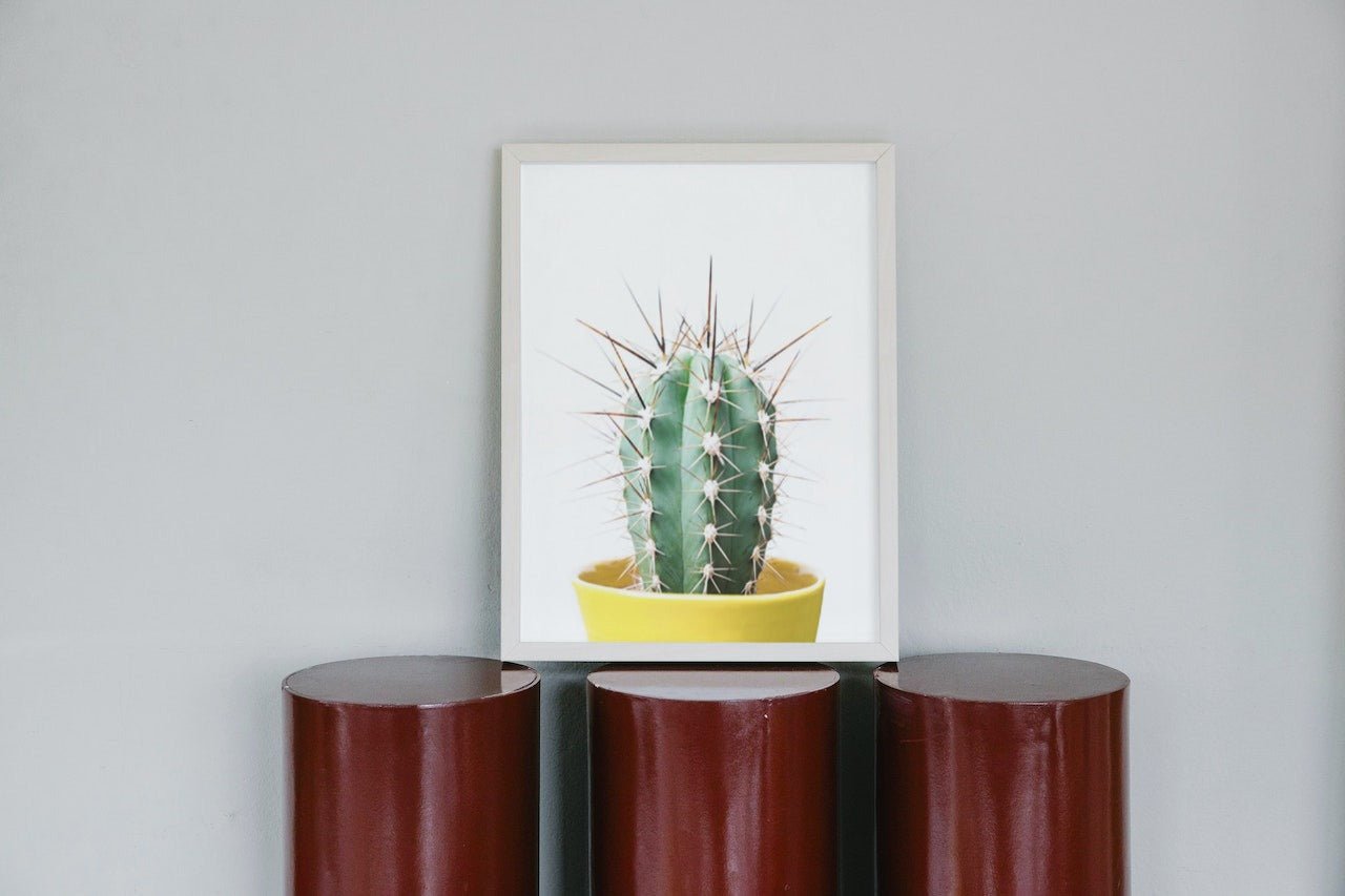 Spikey Cactus - Plakatbar.no