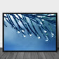 Spruce needles poster - Plakatbar.no