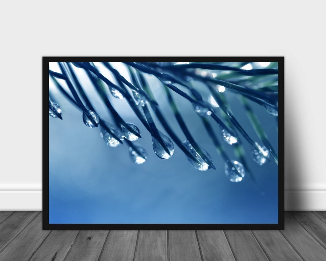 Spruce needles poster - Plakatbar.no