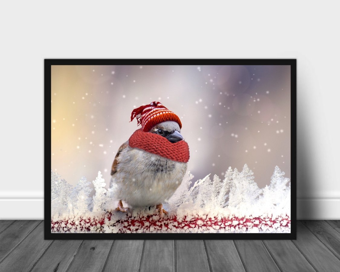 Spurv i vinterklær poster - Plakatbar.no