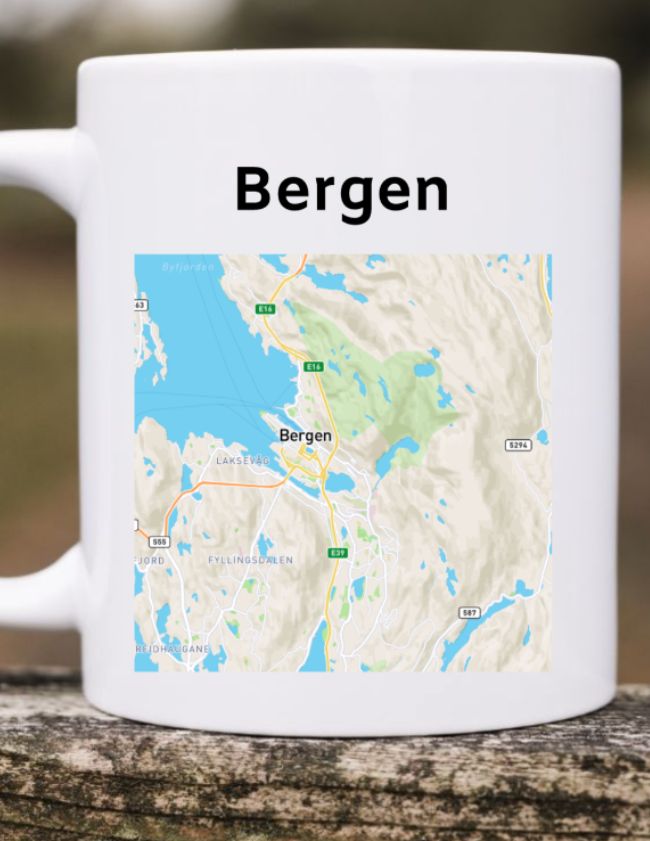 Pladskoppen - Med valgfrit kort