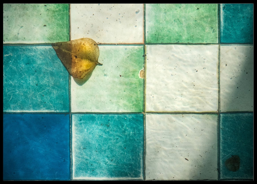 Still life...at the bottom of a pond poster