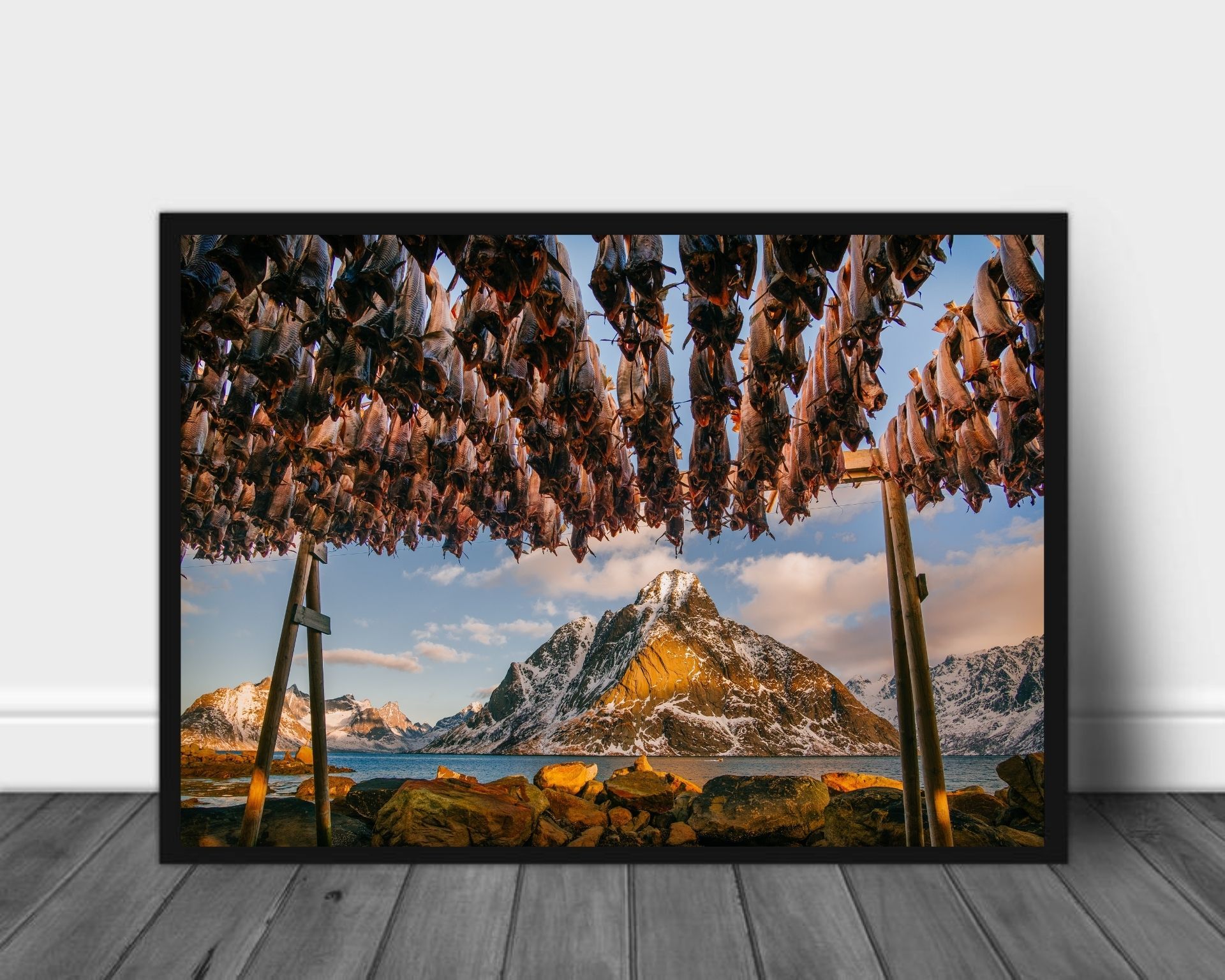 Stockfish in Lofoten poster - Plakatbar.no